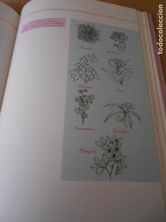 Libros de segunda mano: HISTORIA DEL PERFUME - Foto 10