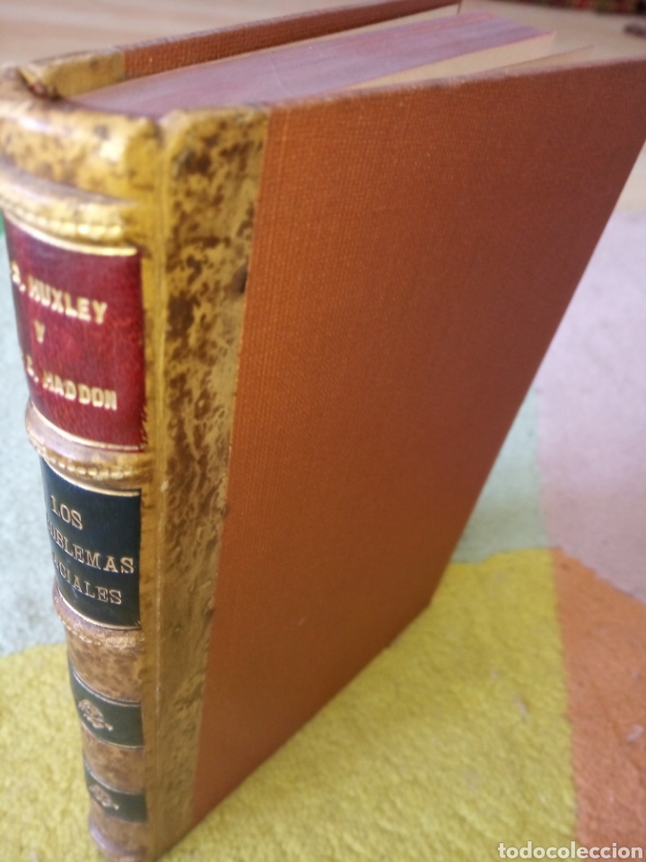 Libros de segunda mano: Los problemas raciales. Huxley y Haddon - Foto 1