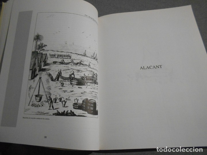 Libros de segunda mano: MAR DE LLEVA - Foto 5