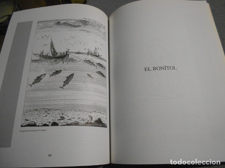Libros de segunda mano: MAR DE LLEVA - Foto 7