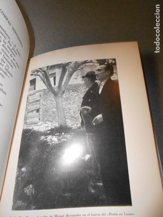 Libros de segunda mano: CANTO ENCADENADO - Foto 6