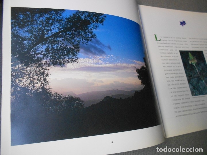 Libros de segunda mano: EL PUIG CAMPANA Y SU ESPACIO NATURAL - Foto 3
