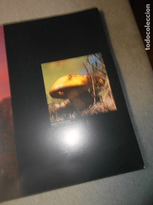 Libros de segunda mano: EL PUIG CAMPANA Y SU ESPACIO NATURAL - Foto 10