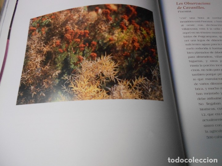 Libros de segunda mano: EL PUIG CAMPANA Y SU ESPACIO NATURAL - Foto 11