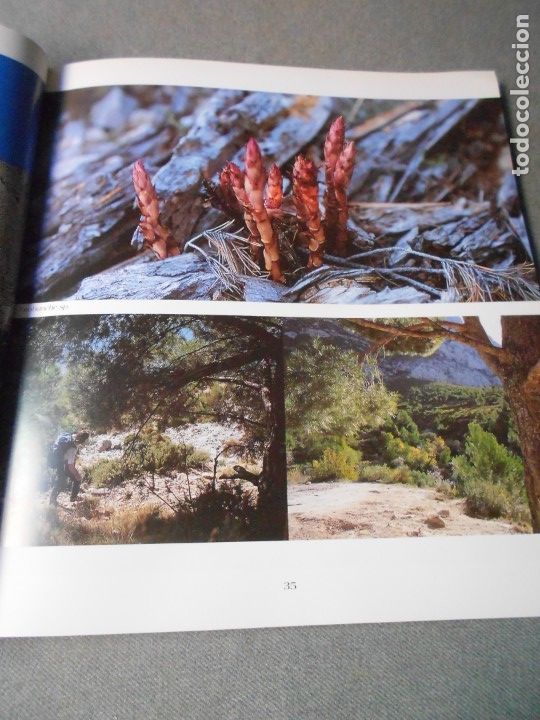 Libros de segunda mano: EL PUIG CAMPANA Y SU ESPACIO NATURAL - Foto 12