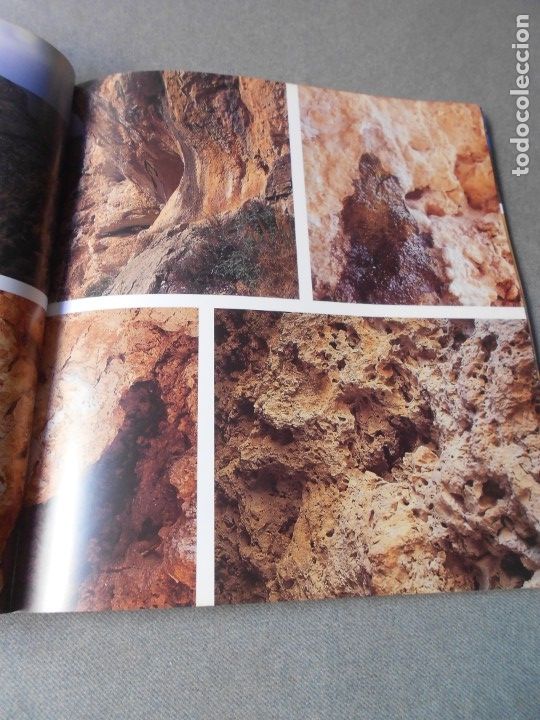 Libros de segunda mano: EL PUIG CAMPANA Y SU ESPACIO NATURAL - Foto 14