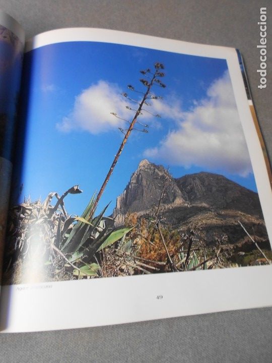 Libros de segunda mano: EL PUIG CAMPANA Y SU ESPACIO NATURAL - Foto 15