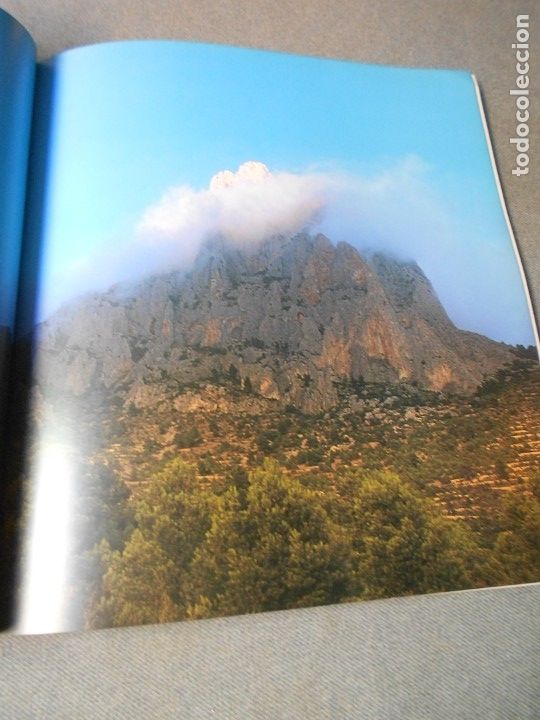 Libros de segunda mano: EL PUIG CAMPANA Y SU ESPACIO NATURAL - Foto 16