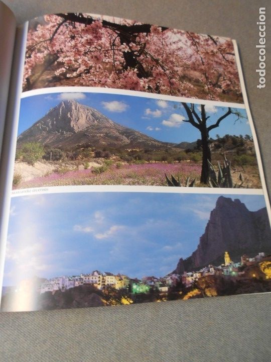 Libros de segunda mano: EL PUIG CAMPANA Y SU ESPACIO NATURAL - Foto 17