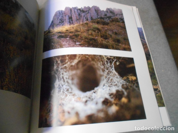 Libros de segunda mano: EL PUIG CAMPANA Y SU ESPACIO NATURAL - Foto 18