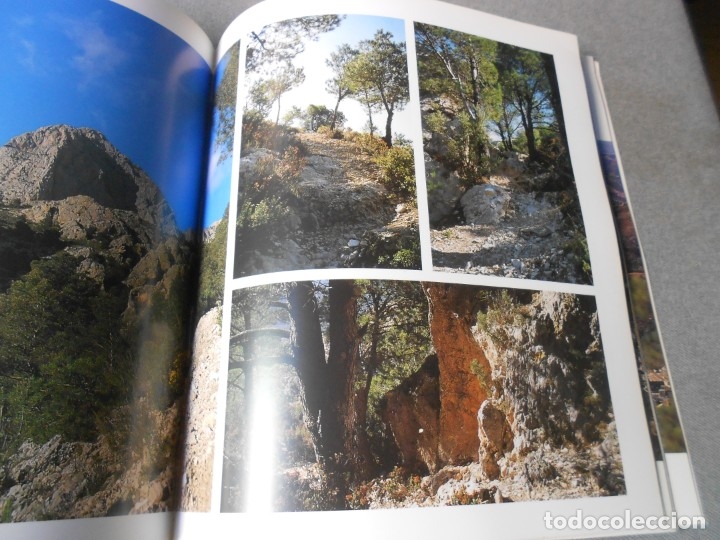 Libros de segunda mano: EL PUIG CAMPANA Y SU ESPACIO NATURAL - Foto 20