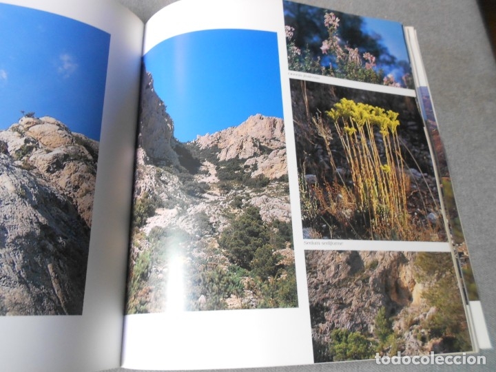 Libros de segunda mano: EL PUIG CAMPANA Y SU ESPACIO NATURAL - Foto 21
