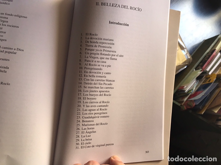 Libros de segunda mano: Ensayo cr&iacute;tico del Roc&iacute;o. Jer&oacute;nimo Bernab&eacute;u - Foto 4