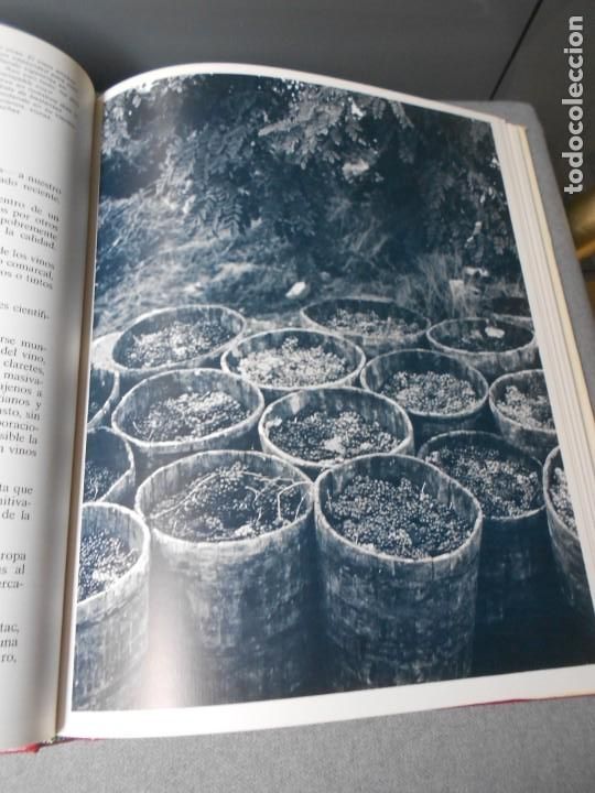 Libros de segunda mano: UN VASO DE BON VINO. MANUEL LLANO - Foto 9