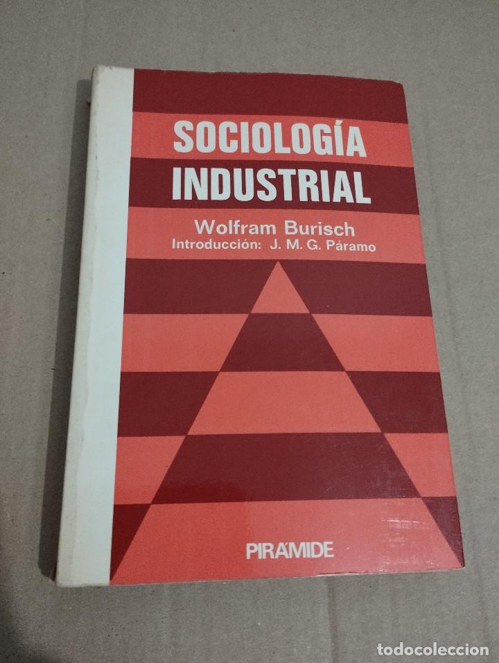 Libros de segunda mano: SOCIOLOG&Iacute;A INDUSTRIAL (WOLFRAM BURISCH) - Foto 1