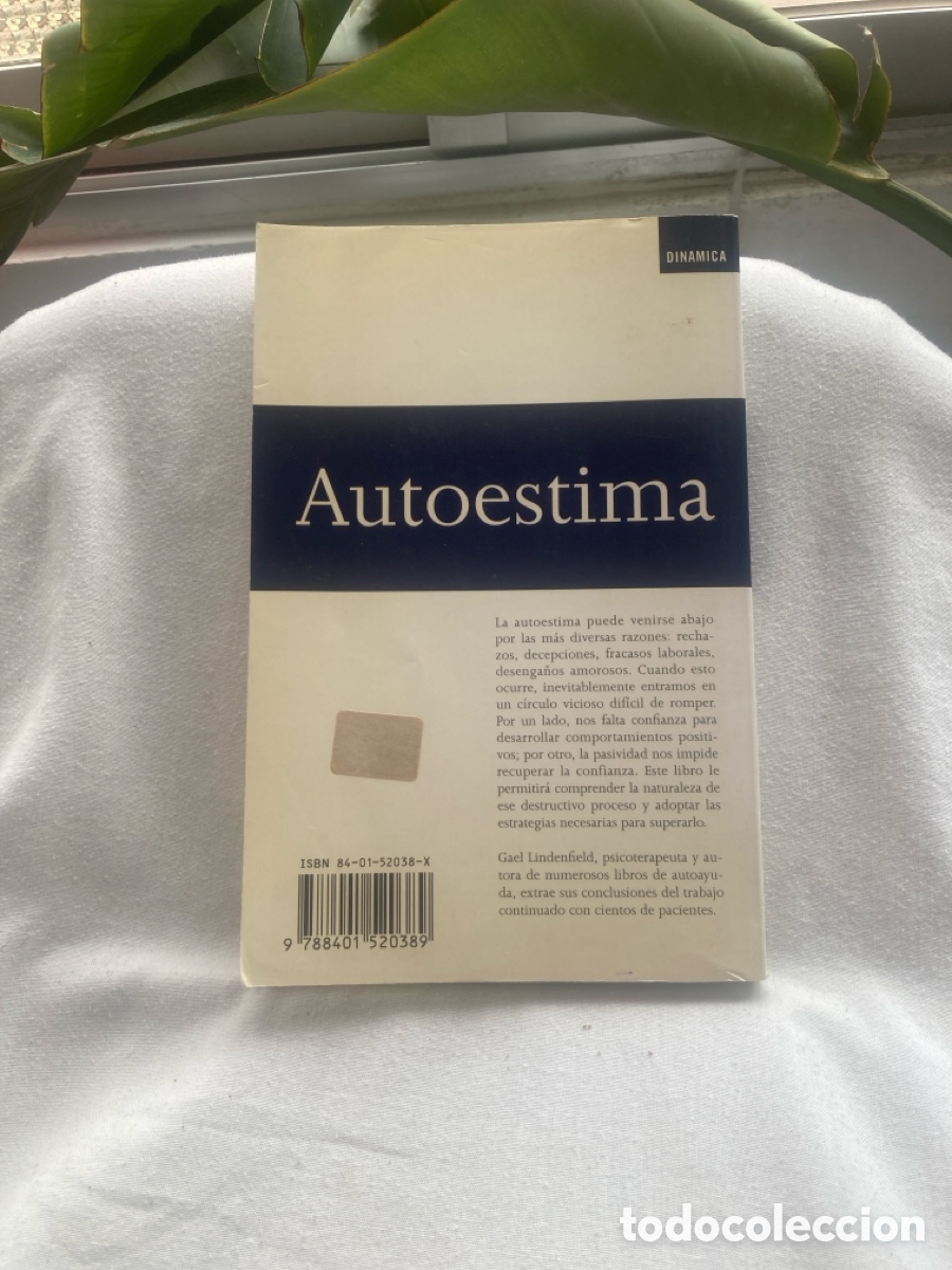 Libros de segunda mano: AUTOESTIMA Gael Lindenfield - Foto 2