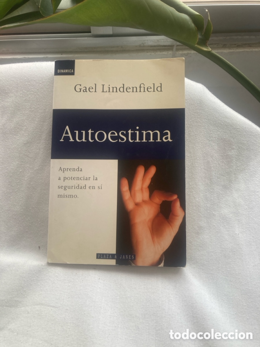 Libros de segunda mano: AUTOESTIMA Gael Lindenfield - Foto 1