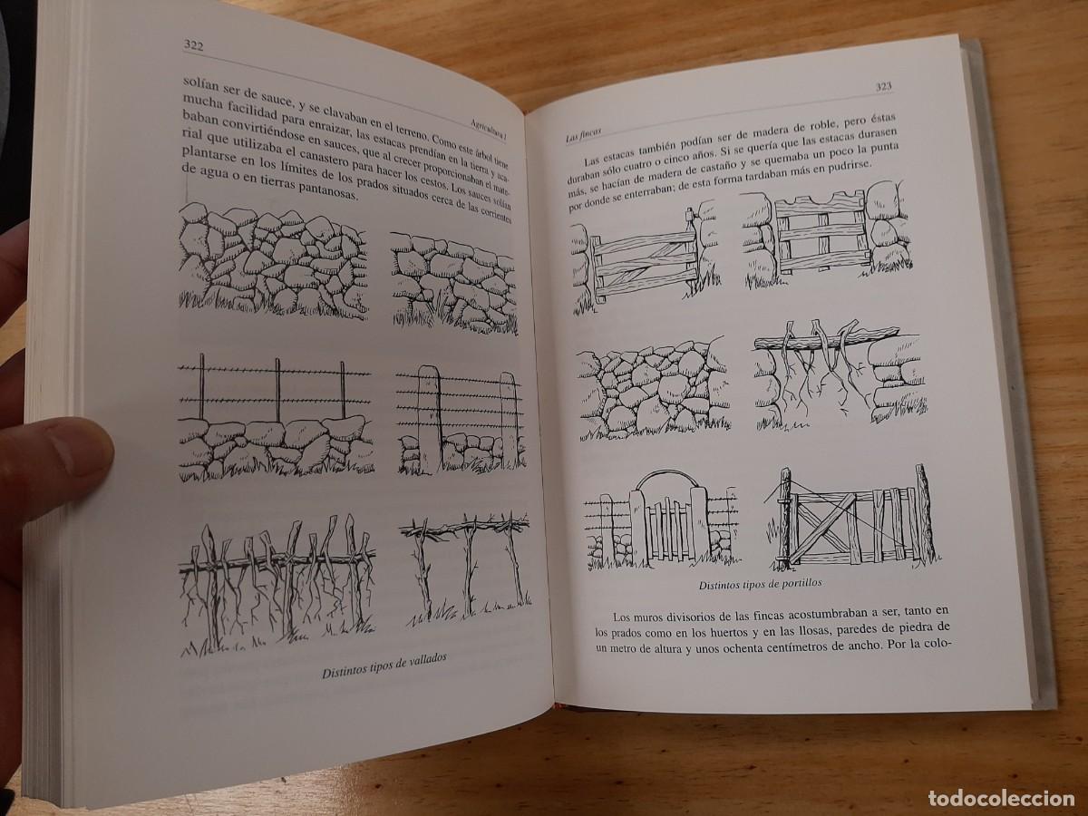 Libros de segunda mano: Caldelas - Olegario Sotelo Blanco - Ed. Ronsel1993 - Foto 6