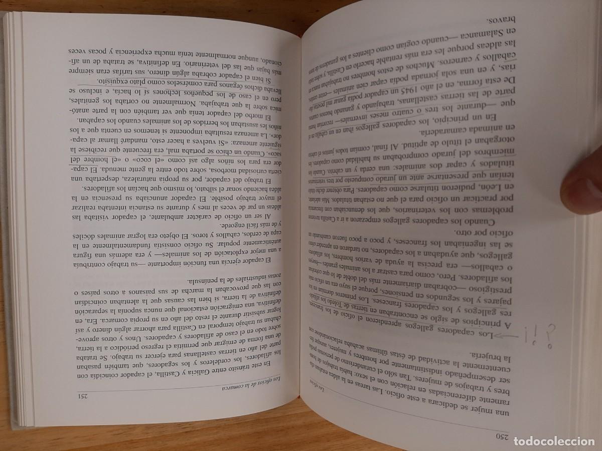 Libros de segunda mano: Caldelas - Olegario Sotelo Blanco - Ed. Ronsel1993 - Foto 7
