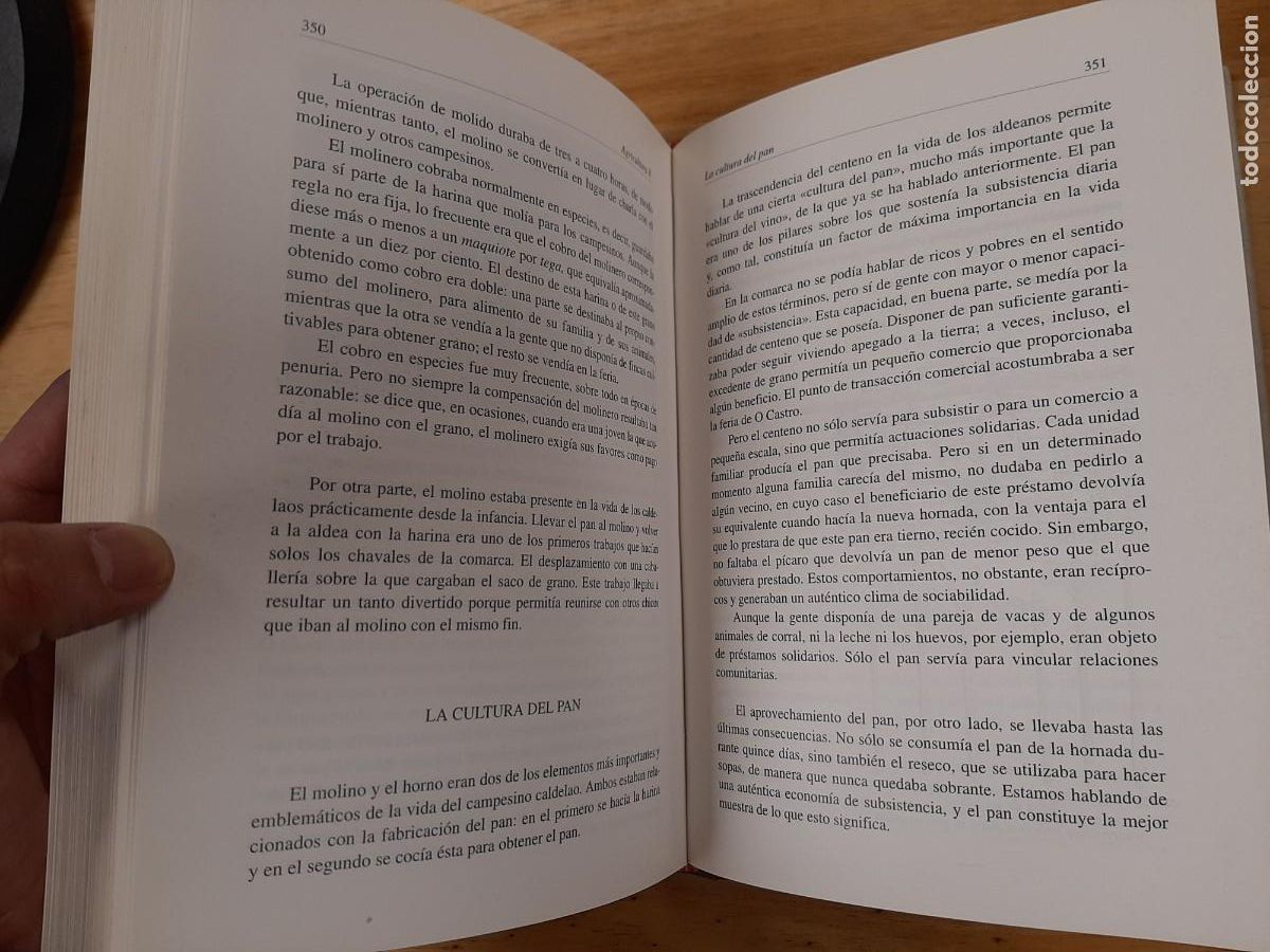 Libros de segunda mano: Caldelas - Olegario Sotelo Blanco - Ed. Ronsel1993 - Foto 12