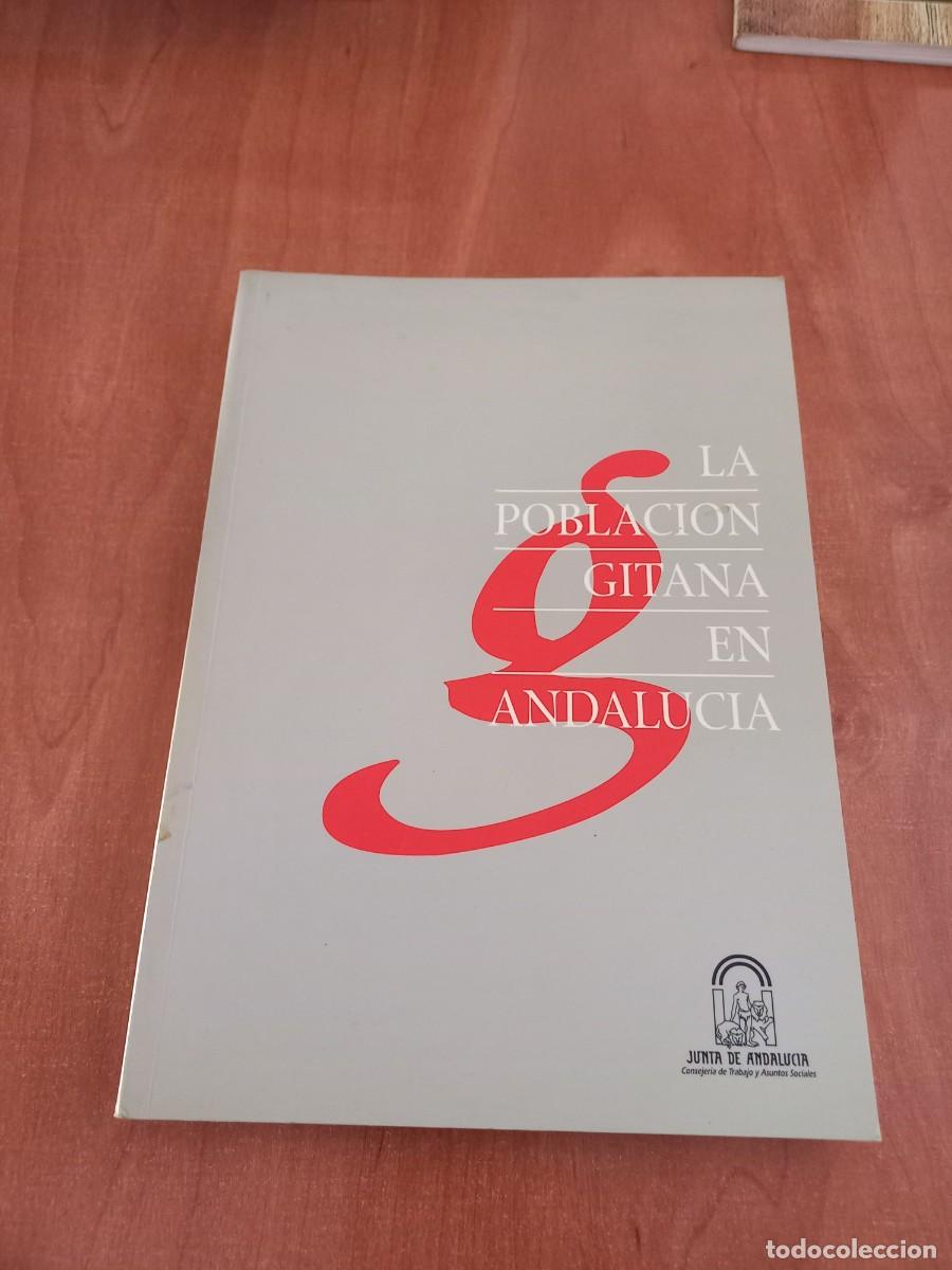 Libros de segunda mano: LA POBLACION GITANA EN ANDALUCIA - JUNTA 1996 - Foto 1