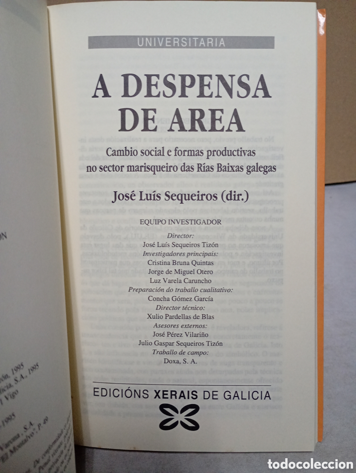 Libros de segunda mano: A despensa de area de Jos&eacute; Lu&iacute;s Sequeiros - Foto 5