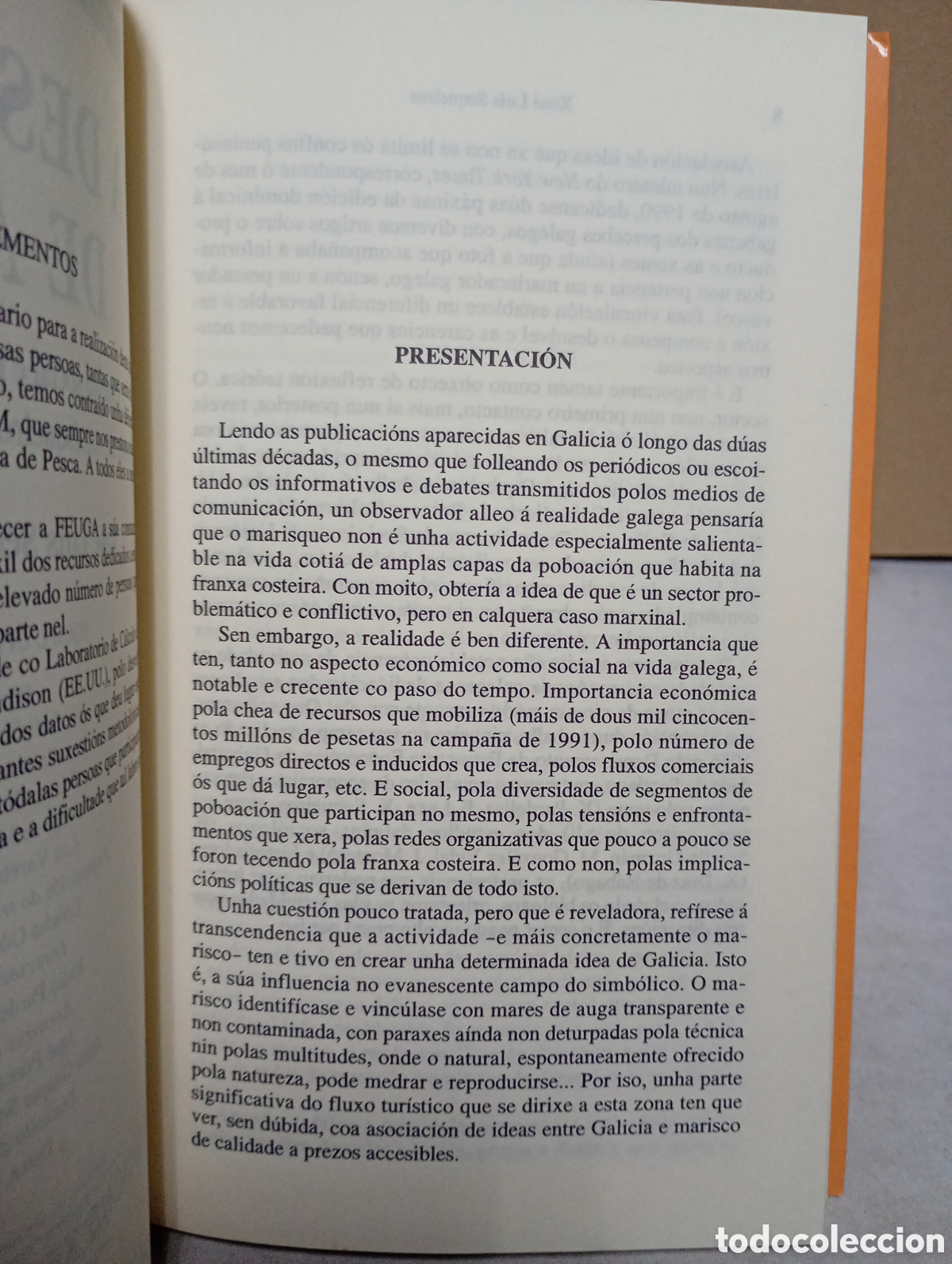 Libros de segunda mano: A despensa de area de Jos&eacute; Lu&iacute;s Sequeiros - Foto 6