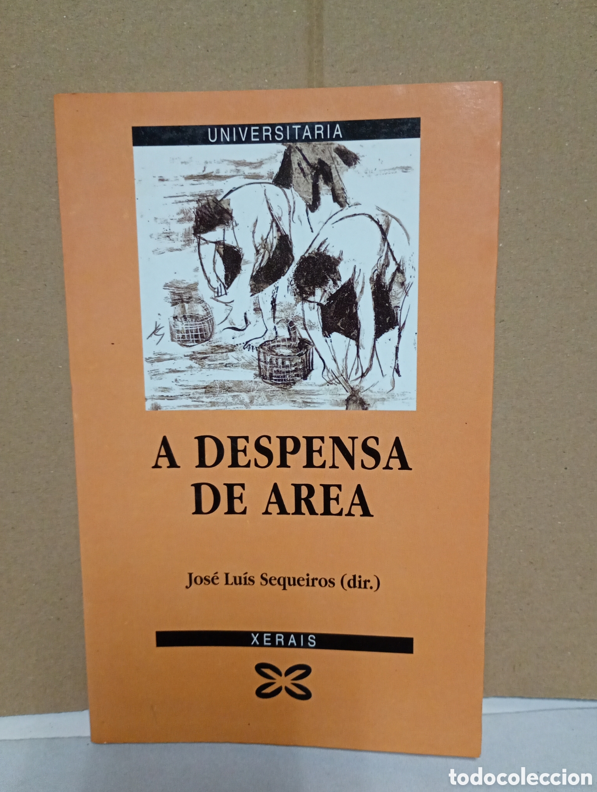 Libros de segunda mano: A despensa de area de Jos&eacute; Lu&iacute;s Sequeiros - Foto 1