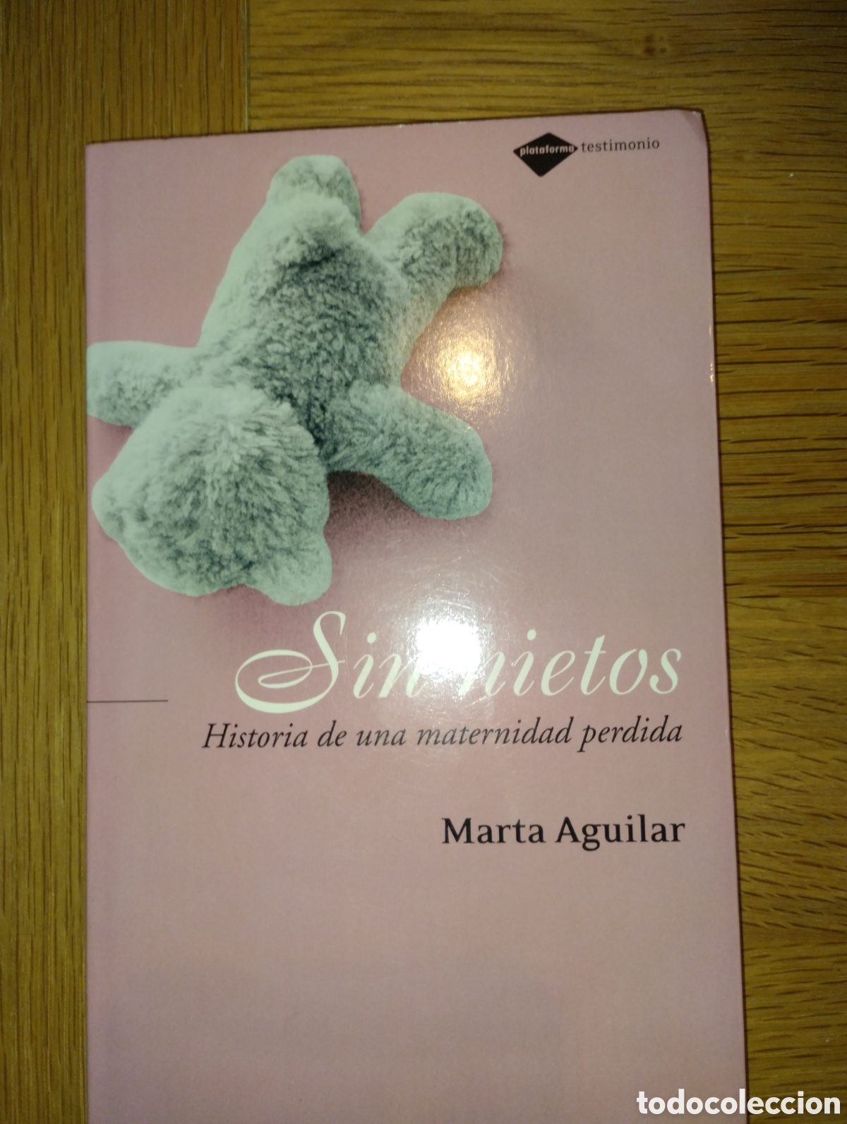 Libros de segunda mano: SIN NIETOS, HISTORIA DE UNA MATERNIDAD PERDIDA - Foto 1