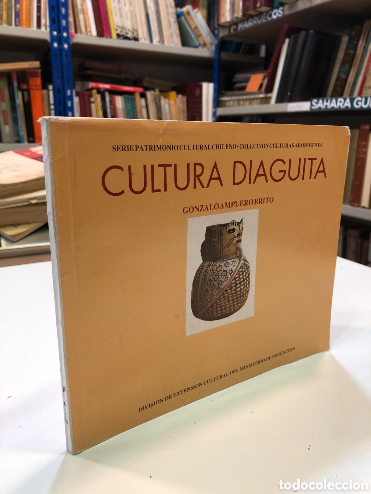 Livres d'occasion: Cultura Diaguita - Gonzalo Ampuero Brito
