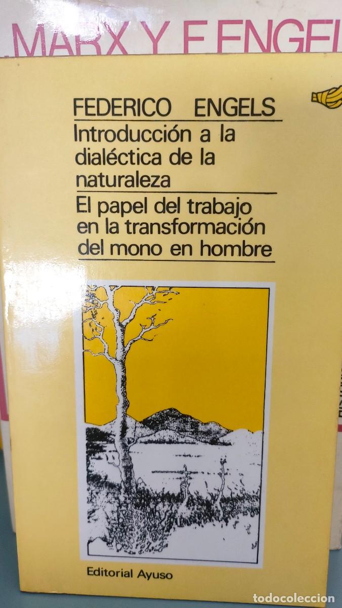 Libros de segunda mano: FEDERICO ENGELS. INTRODUCCION A LA DIALECTICA DE LA NATURALEZA - Foto 1