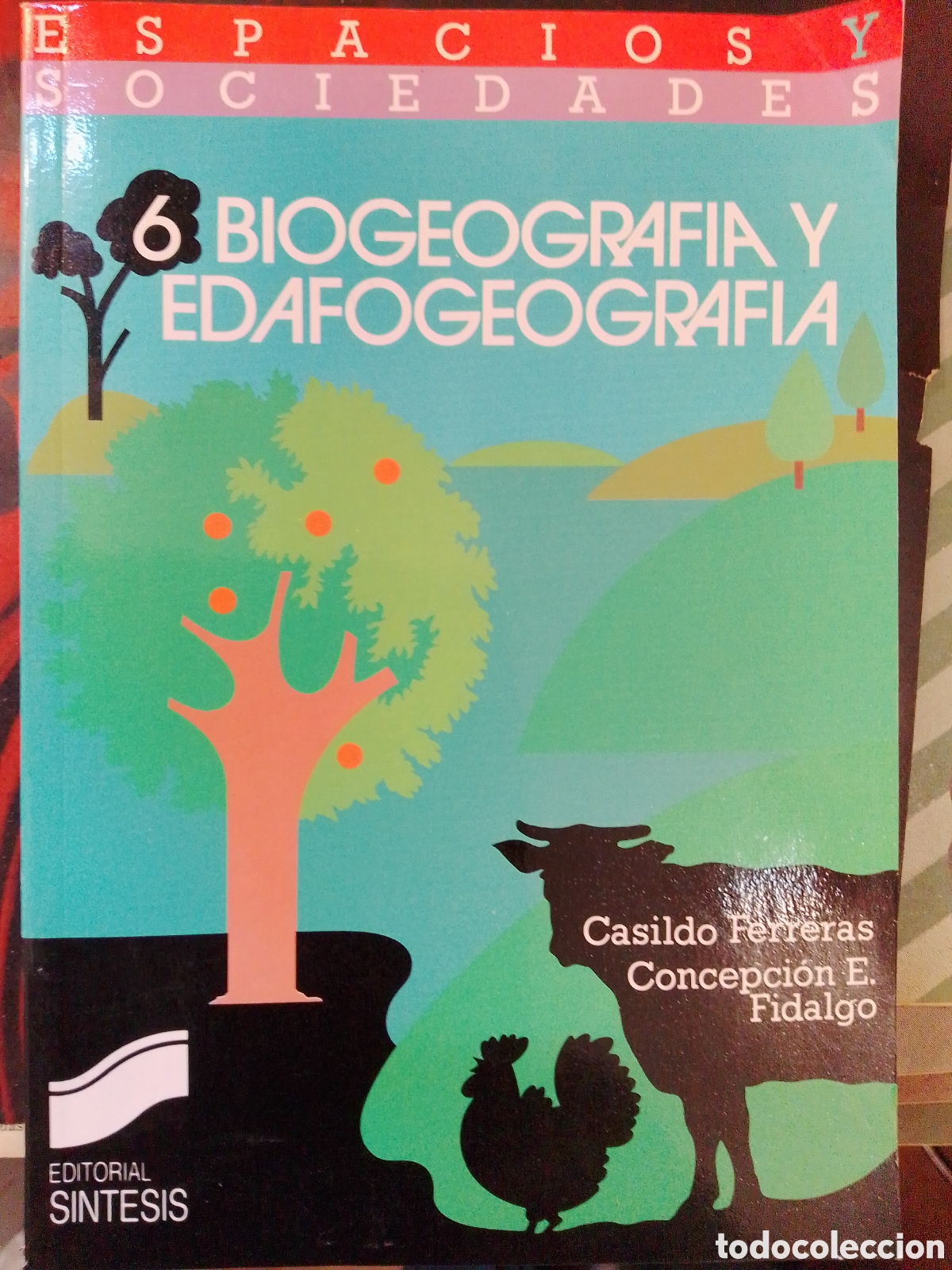 Libros de segunda mano: BIOGEOGRAFIA Y EDAFOGEOGRAFIA. FERRERAS, CASILDO- FIDALGO, CONCEPCION. SINTESIS. 1991