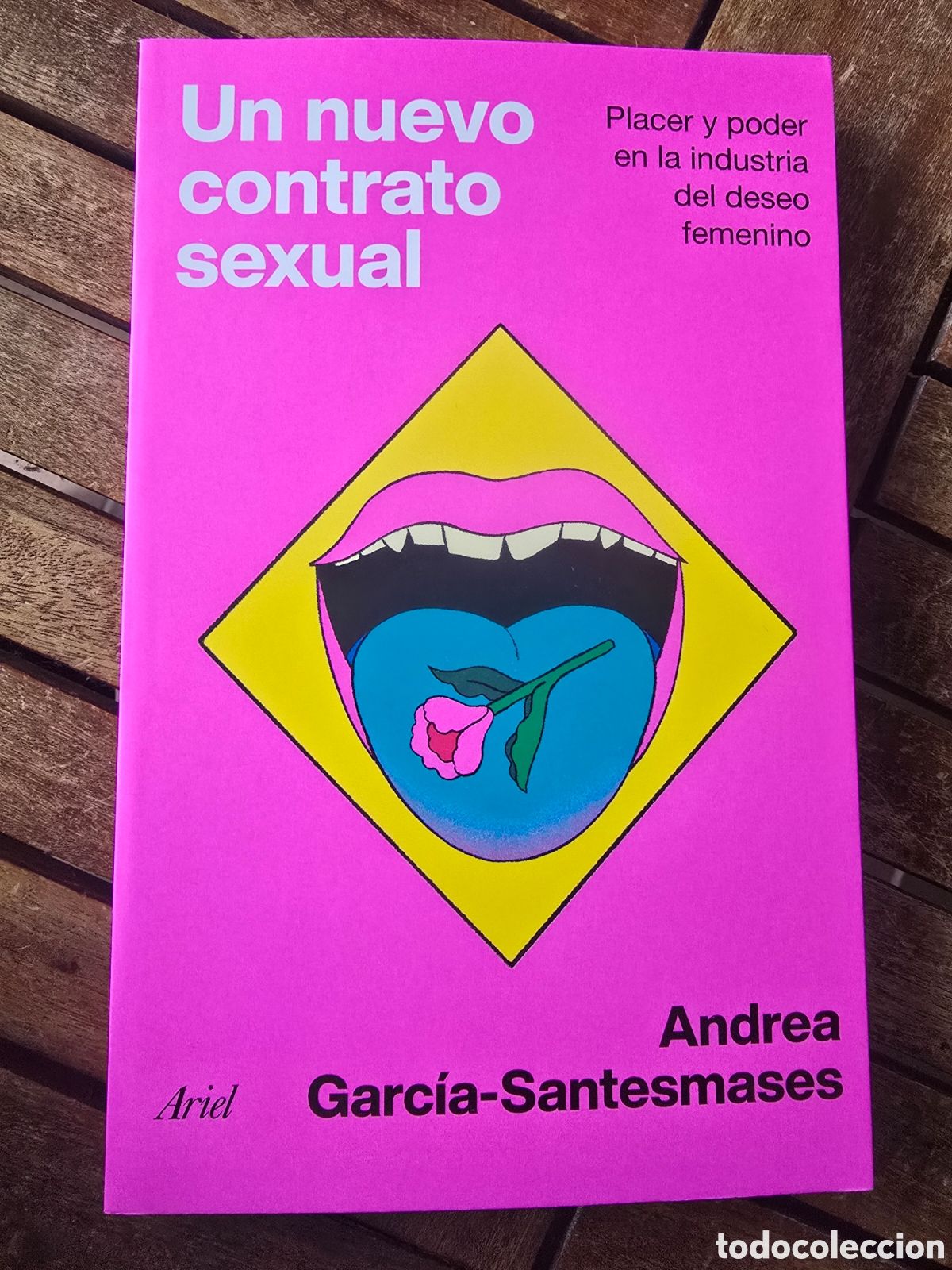 Libros de segunda mano: Un nuevo contrato sexual Andrea Garc&iacute;a Santesmases Editorial ARIEL 2026 Sociolog&iacute;a
