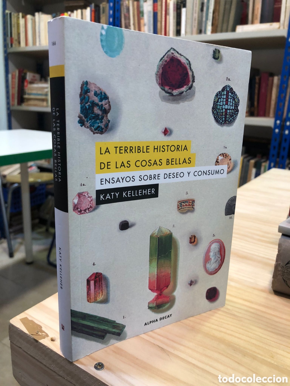 Gebrauchte B&uuml;cher: La terrible historia de las cosas bellas. Ensayos sobre deseo y consumo - Katy Kelleher