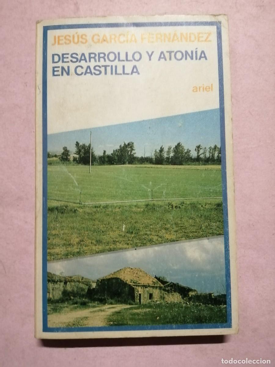 Libros de segunda mano: DESARROLLO Y ATONIA EN CASTILLA (JESUS GARCIA FERNANDEZ)