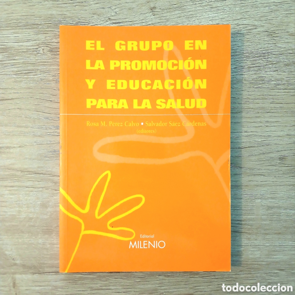 Libros de segunda mano: El grupo en la promoci&oacute;n y educaci&oacute;n para la salud