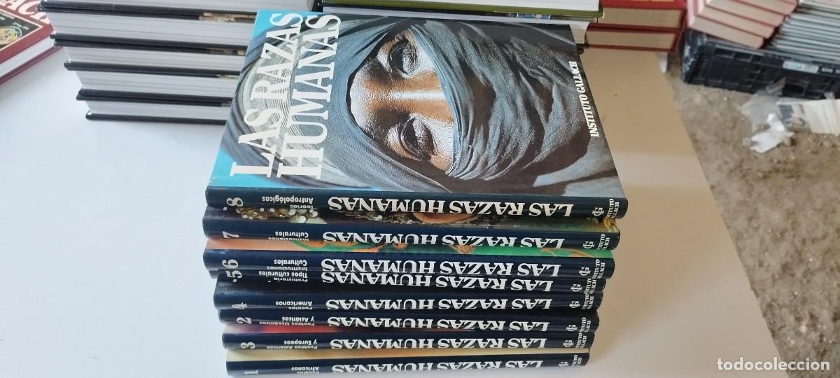 Libros de segunda mano: LAS RAZAS HUMANAS- INSTITUTO GALLACH - 8 TOMOS- CONS 628-35 - VER FOTOS