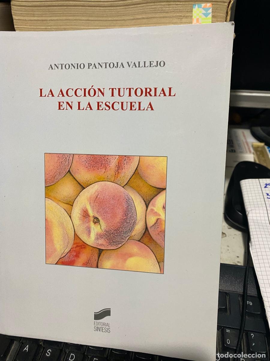 Libros de segunda mano: la acci&oacute;n tutorial en la escuela, Antonio pantoja Vallejo, edt. s&iacute;ntesis