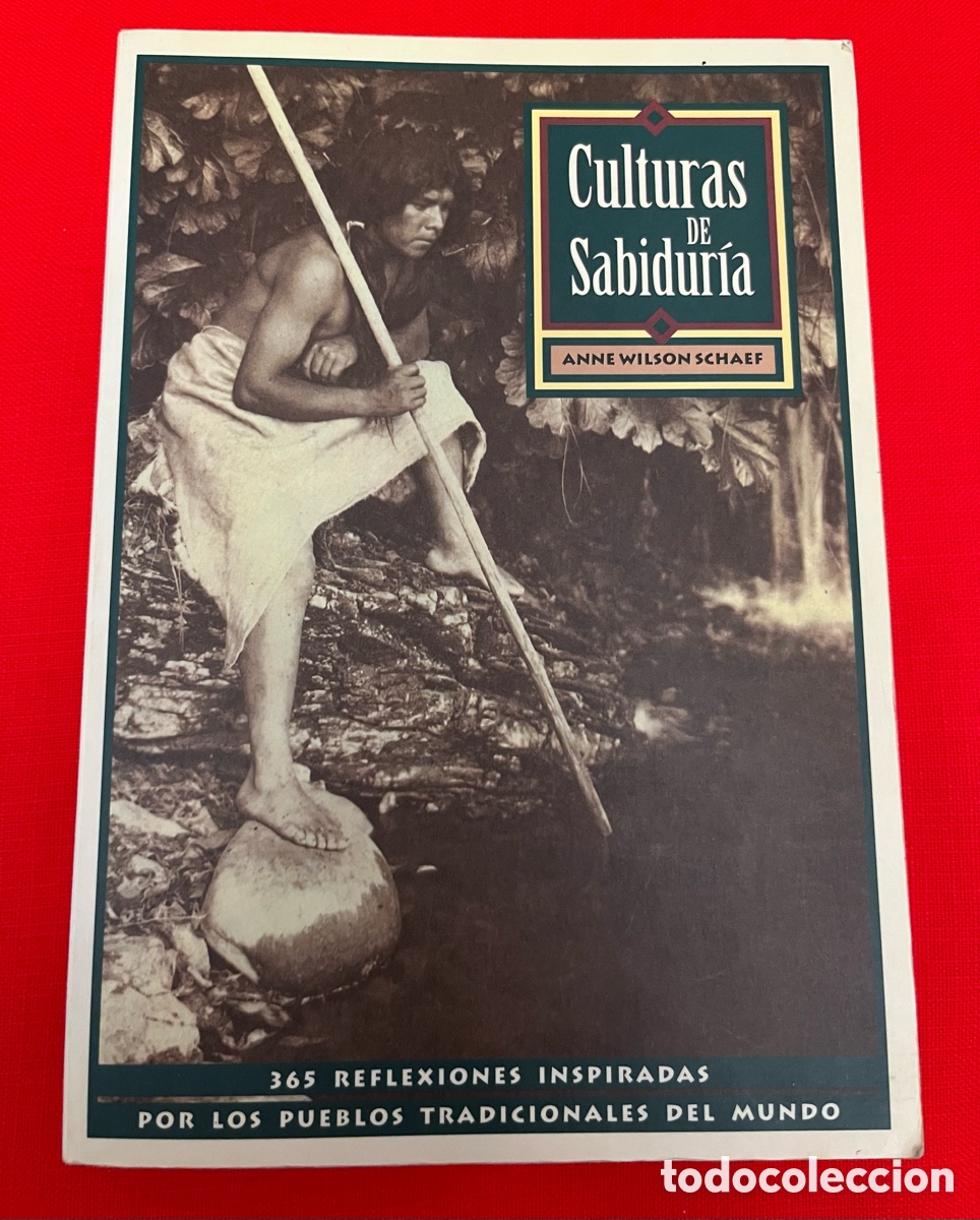 Libros de segunda mano: Libro Culturas de sabidur&iacute;a - Anne Wilson Schaef