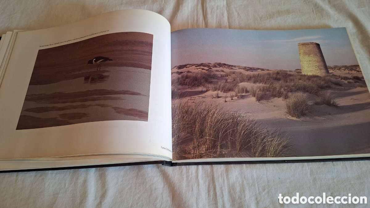 Libros de segunda mano: DO&Ntilde;ANA, TIERRAS Y GENTES - Foto 8