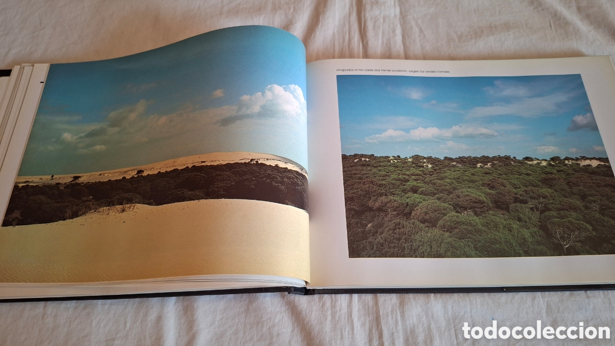 Libros de segunda mano: DO&Ntilde;ANA, TIERRAS Y GENTES - Foto 9
