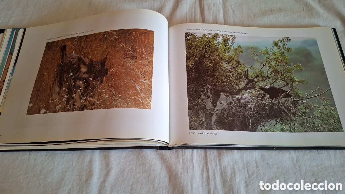 Libros de segunda mano: DO&Ntilde;ANA, TIERRAS Y GENTES - Foto 10