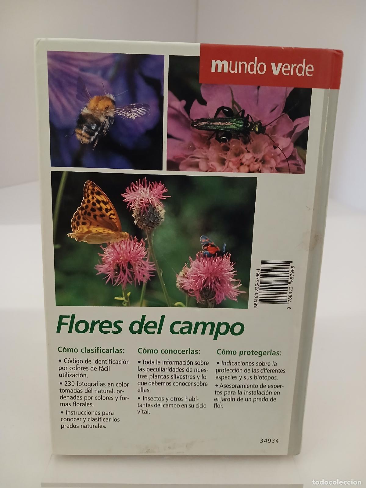Libros de segunda mano: Flores del campo - Bruno P. Kremer - Foto 2