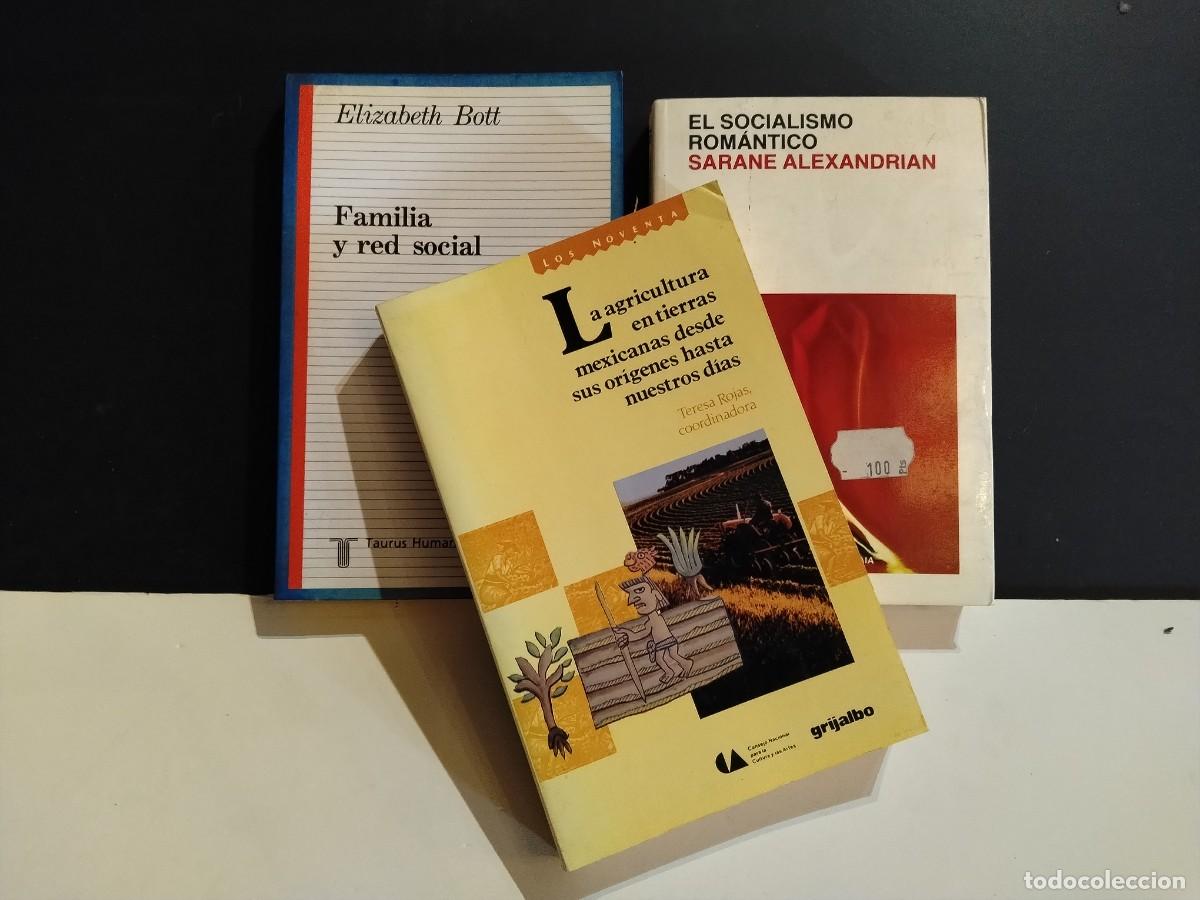 Livros em segunda m&atilde;o: LOTE 3 LIBROS&rdquo;EL SOCIALISMO R&Oacute;MANTICO-FAMILIA Y RED SOCIAL Y LA AGRICULTURA EN ... (VER FOTOS)