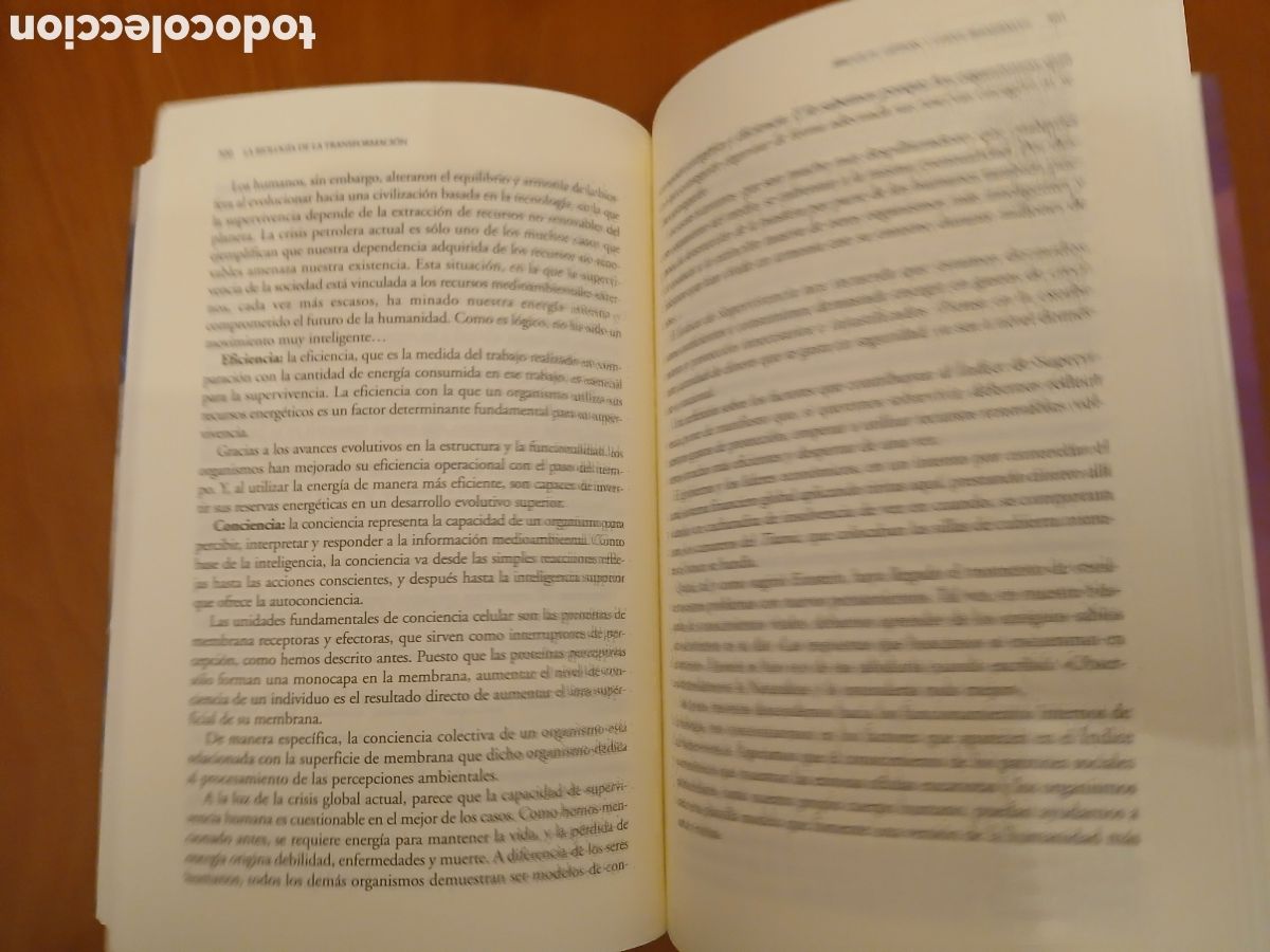 Libros de segunda mano: La Biolog&iacute;a de la Transformaci&oacute;n. Dr. Bruce H. Lipton, Steve Bhaerman. - Foto 13
