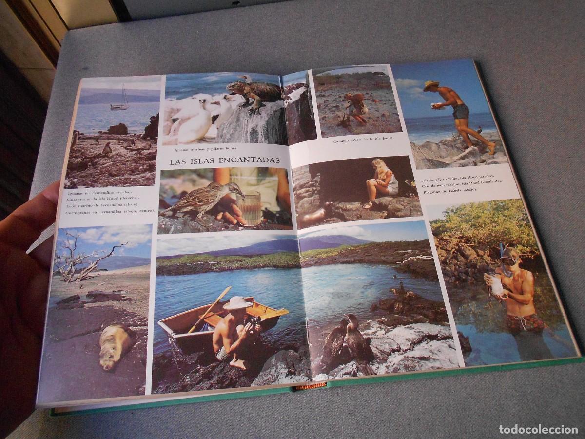 Libros de segunda mano: LA TRAVESIA DEL DOVE - Foto 8