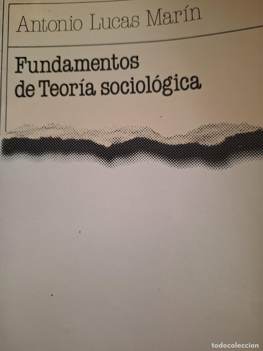 Libros de segunda mano: fundamentos de teor&iacute;a sociol&oacute;gica Antonio Lucas Mar&iacute;n