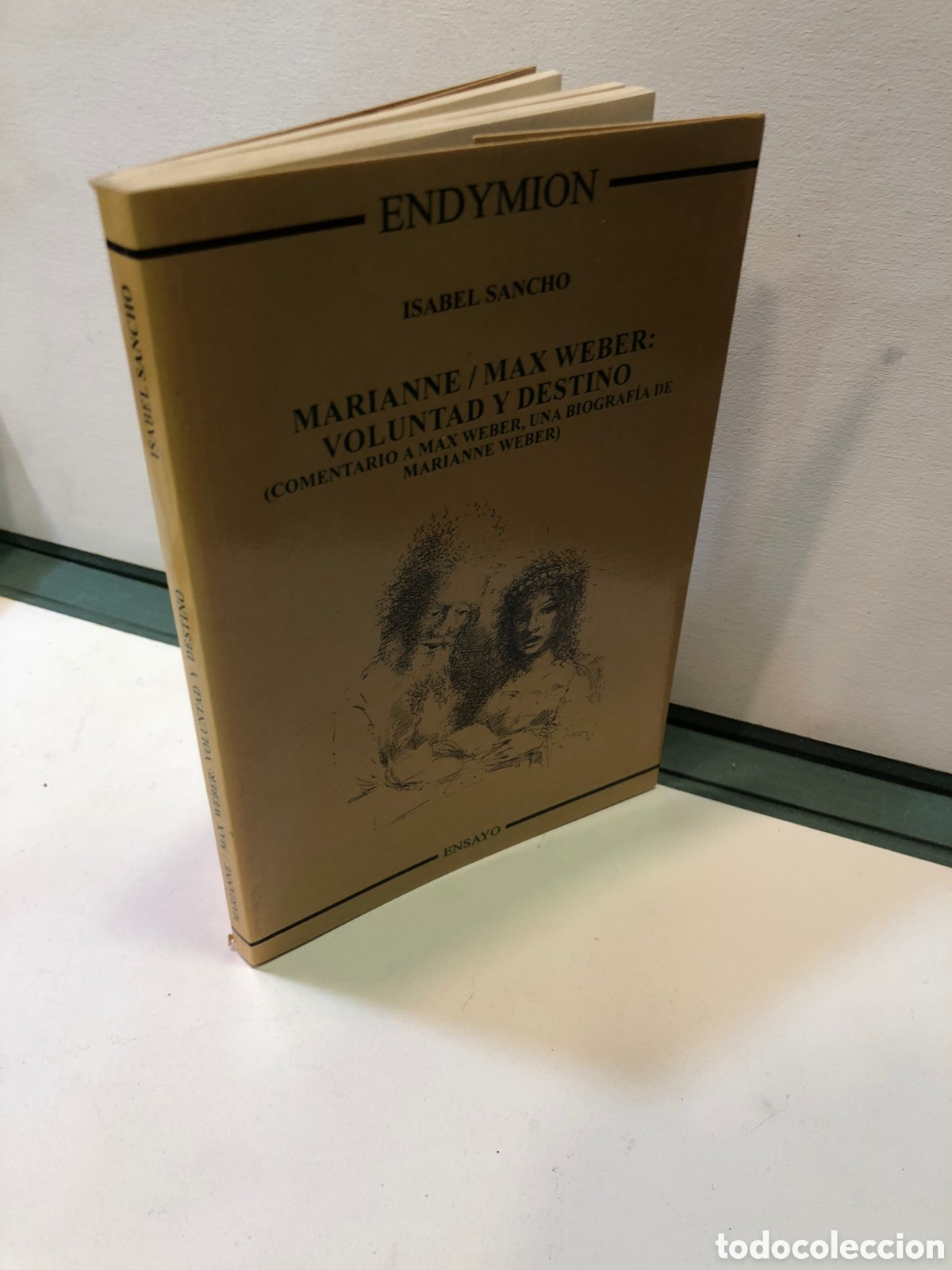 Libri di seconda mano: Marianne/Max Weber: voluntad y destino (Comentario a Max Weber, una biograf&iacute;a...) - Isabel Sancho