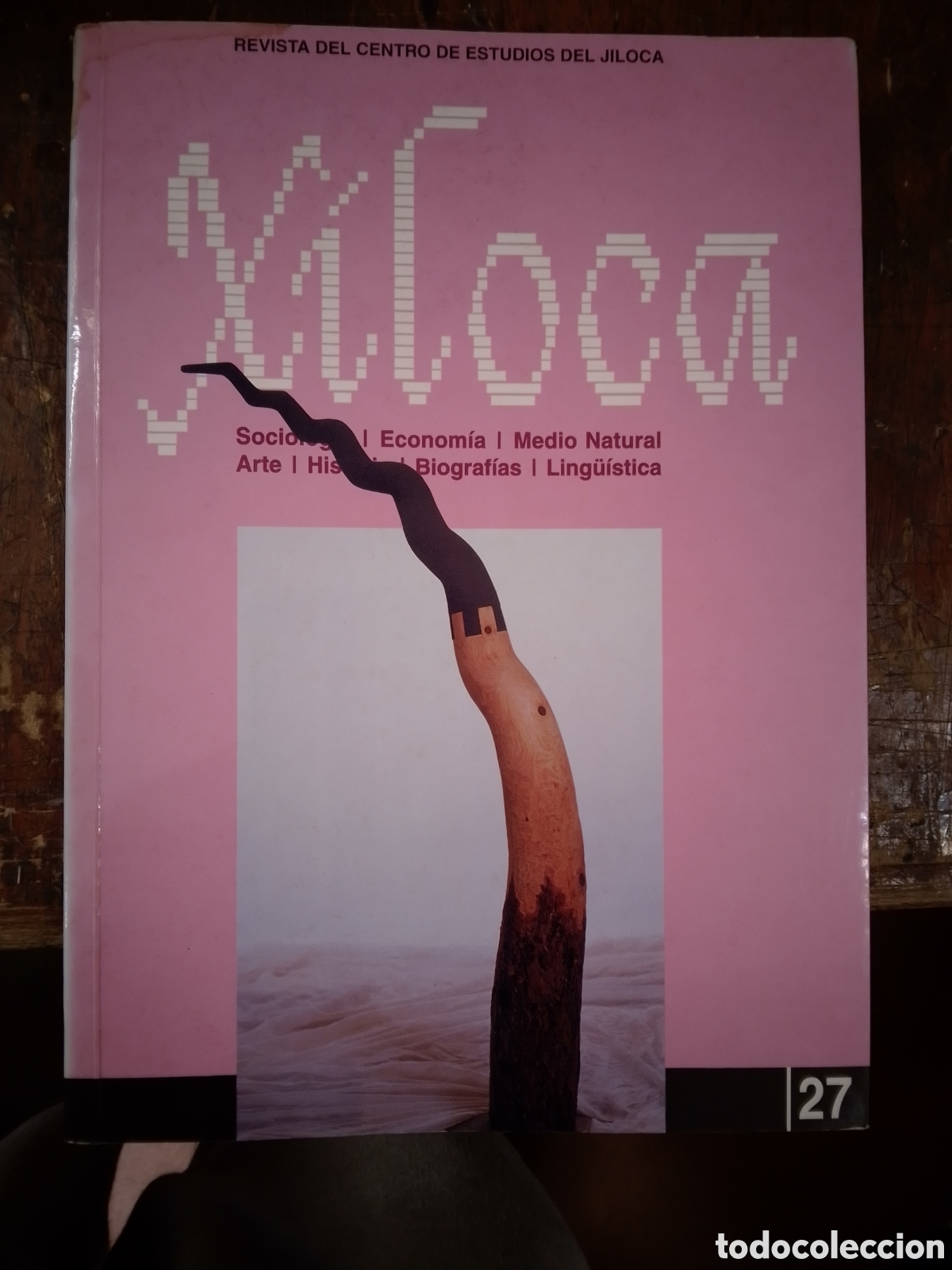 Libros de segunda mano: XILOCA. REVISTA DEL CENTRO DE ESTUDIOS DEL JILOCA. INO REPRODUCCIONES. CALAMOCHA. 2001