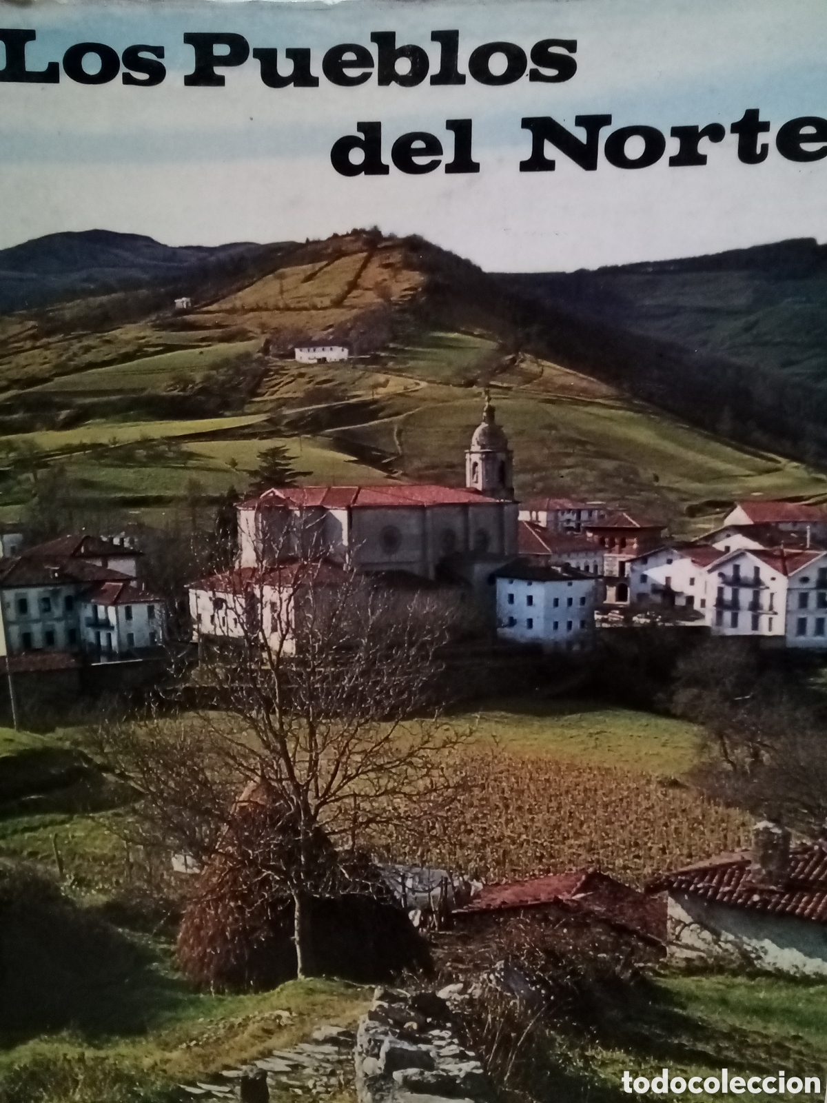 Libros de segunda mano: Julio Caro Barajo. Los Pueblos del Norte